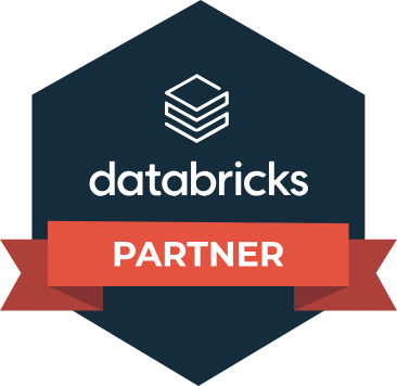Databricks Bronze Partner
